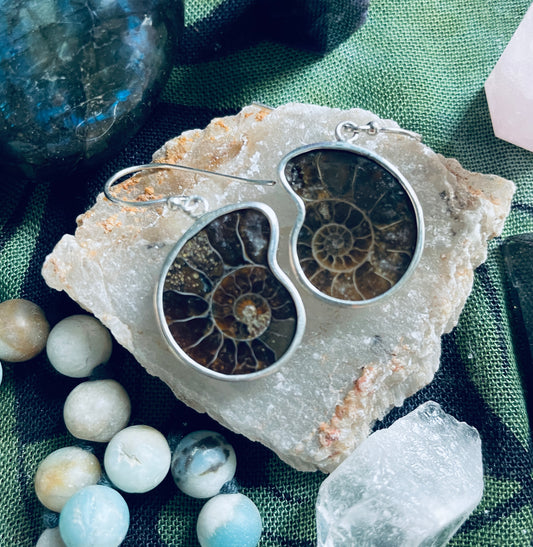 Sterling Silver Ammonite Earrings